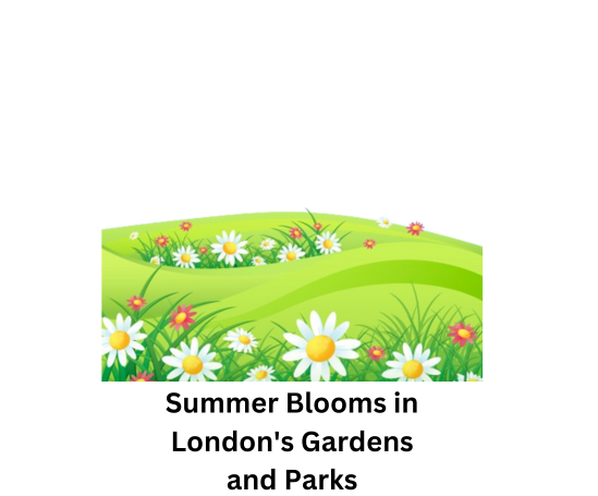 Summer Blooms in London's Gardens and Parks